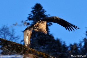 Raquettes-Cabane-Castillou-Soum-Counee_021